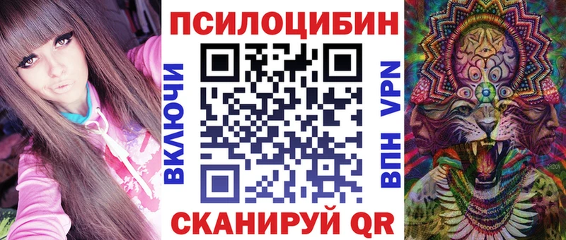 закладки blacksprut Галлюциногенные грибы Cubensis Михайловка