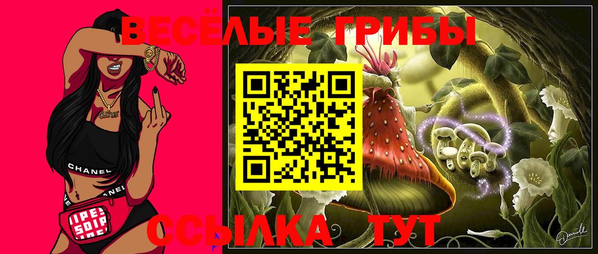 Галлюциногенные грибы мицелий Михайловка
